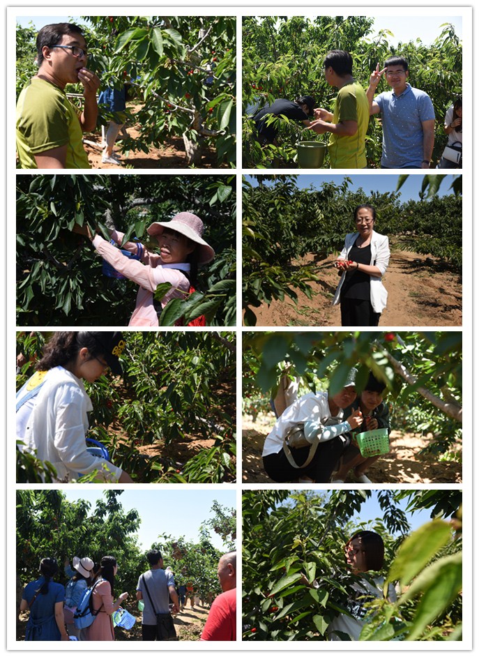 1497661693656979.jpg 10.jpg