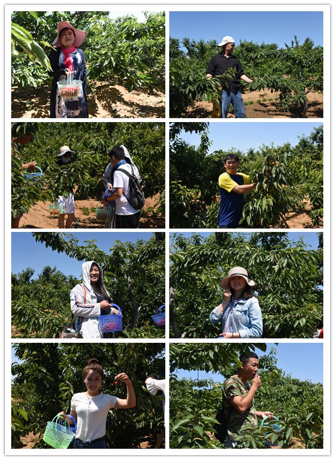 1497661713649463.jpg 12.jpg