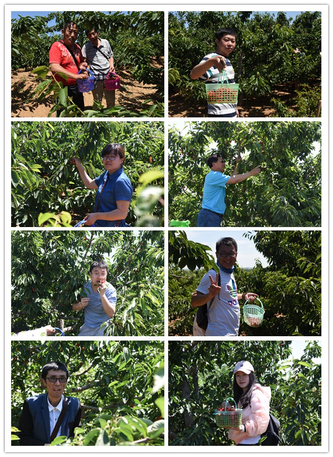 1497661724782114.jpg 14.jpg