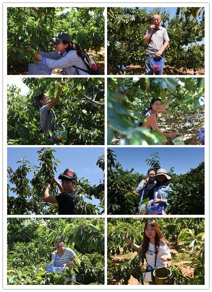 1497687279605530.jpg 11.jpg