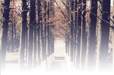 1605155880120310.png 圖片4.png